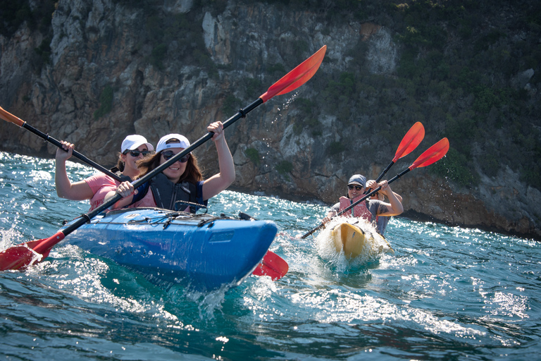 Baia di Navarino: esperienza di kayak e pranzoBaia di Navarino: esperienza di kayak