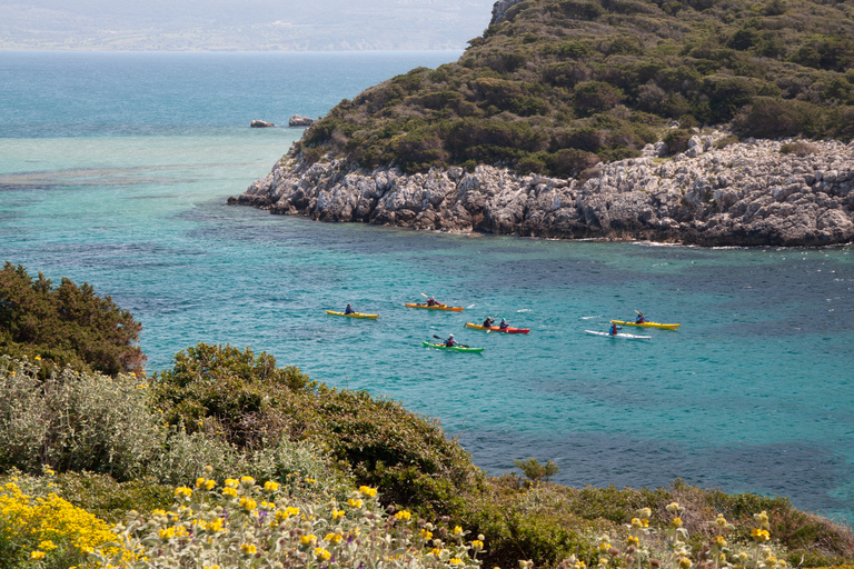 Baia di Navarino: esperienza di kayak e pranzoBaia di Navarino: esperienza di kayak