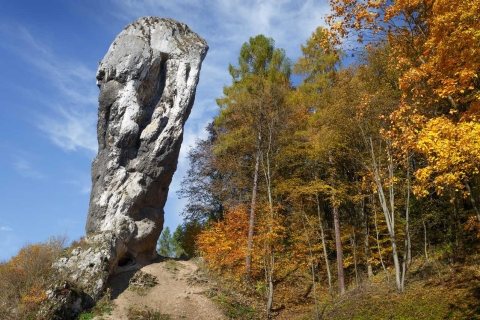 Ab Krakau: Tagestour zum Nationalpark OjcówPrivate Tour