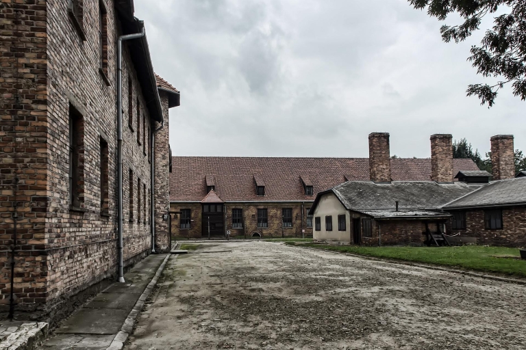 Cracovia: Auschwitz-Birkenau y mina de sal de Wieliczka