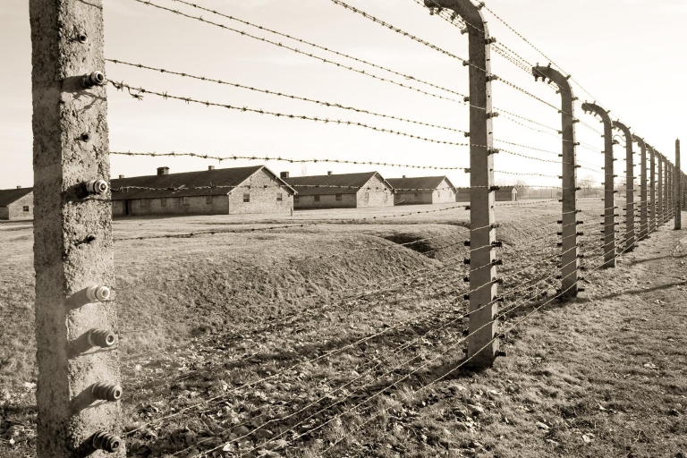 Krakau: dagexcursie Auschwitz-Birkenau en zoutmijn