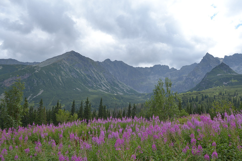 Montes Tatras: tour de senderismo de día completo desde Cracovia