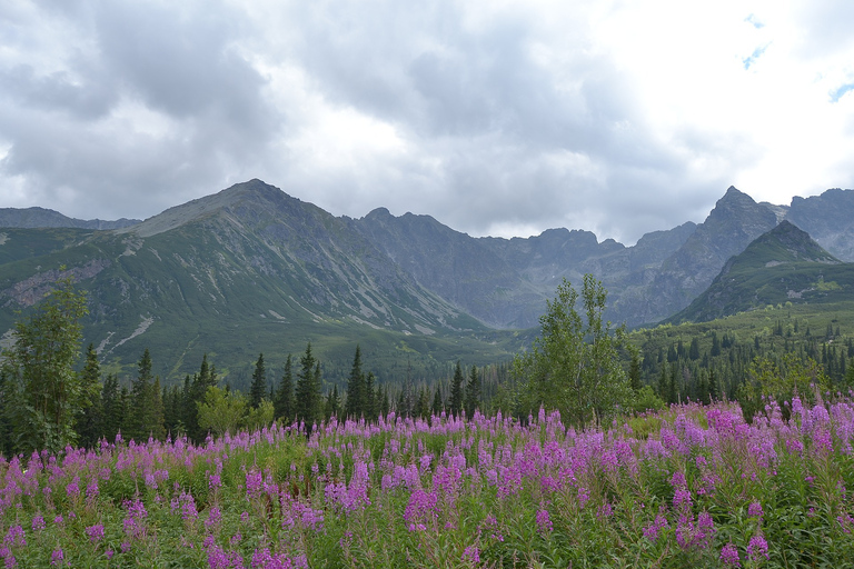 Tatry: całodniowa wycieczka piesza z Krakowa