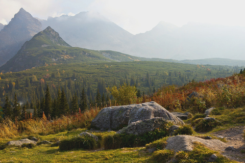 Tatry: całodniowa wycieczka piesza z Krakowa