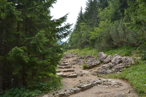 Montagnes des Tatras : randonnée d'une journée complète au départ de Cracovie