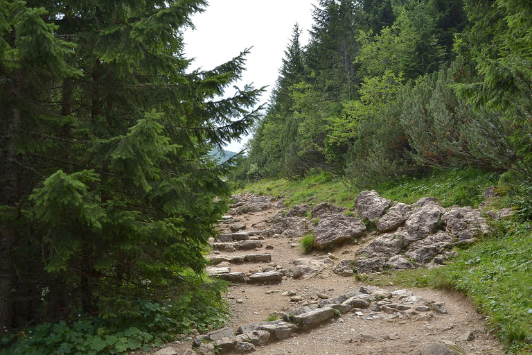 Tatra-gebergte: wandeltocht van een hele dag vanuit Krakau