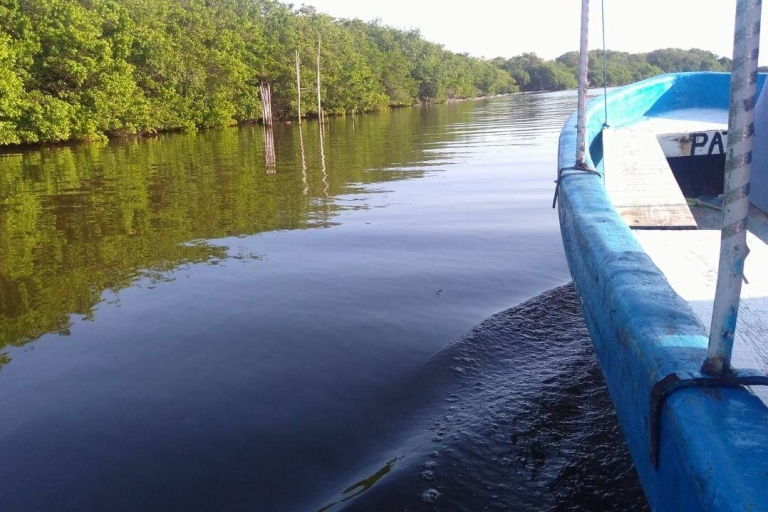 Au départ de Veracruz : Tour en bateau de la nature et des fruits de mer à Madinga