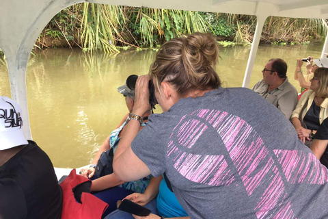 Puntarenas: Buggy Ride and River Boat Shore Excursion