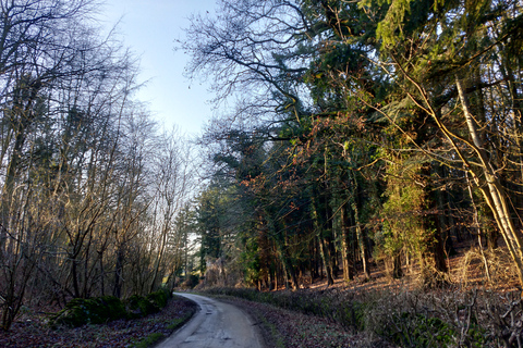 Cotswolds: Full-Day Electric Bike Tour