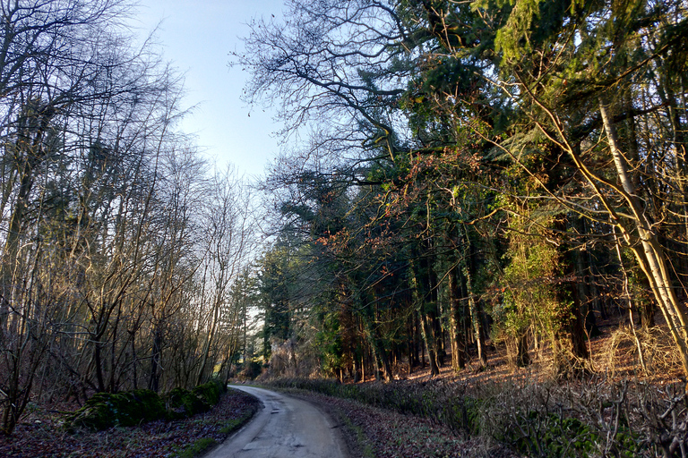 Cotswolds: Full-Day Electric Bike Tour