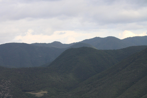 Oaxaca: Hierve el Agua, Tule, Mitla & Mezcal Full-Day Tour.