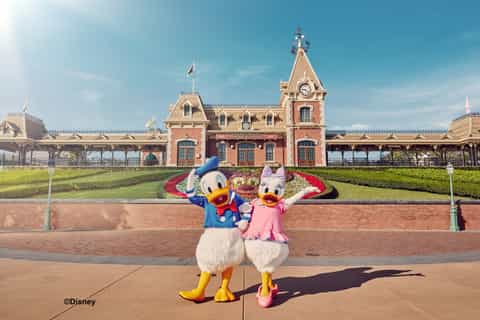 honk kong billet pour le parc disneyland