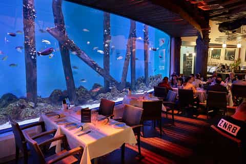 Cairns Aquarium General Admission Ticket