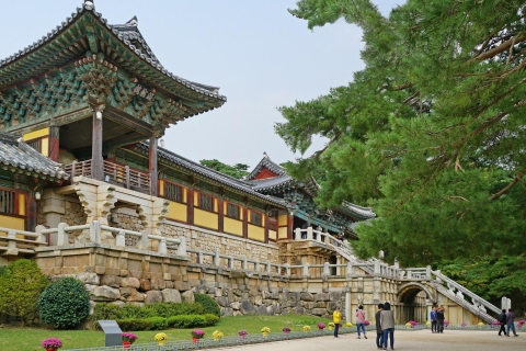 Busan: Excursión de un día a Gyeongju, Patrimonio Mundial de la UNESCORecorrido compartido por el patrimonio - Encuentro en la estación de Seomyeon