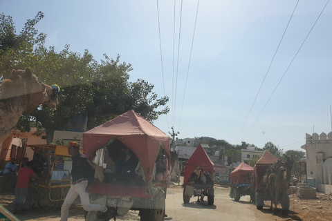 Privater Tagesausflug nach Pushkar von JaipurPrivater Tagesausflug nach Pushkar von Jaipur aus