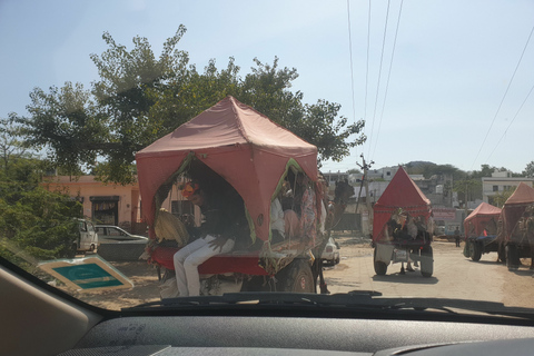 Excursión privada de un día a Pushkar desde JaipurExcursión Privada de un Día a Pushkar desde Jaipur