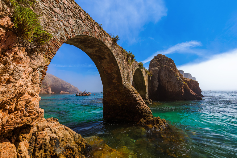 Depuis Peniche : Tour en bateau aller-retour de l&#039;archipel de Berlengas.