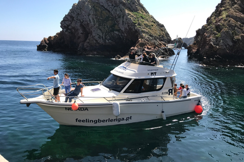 Depuis Peniche : Tour en bateau aller-retour de l&#039;archipel de Berlengas.