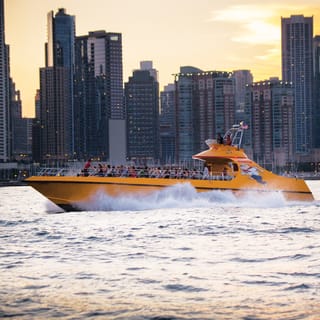 Chicago Lakefront: Seadog Speedboat Ride