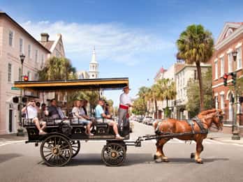 Charleston: Historische Innenstadttour mit Pferdekutsche Charleston: Historische Innenstadttour mit Pferdekutsche
