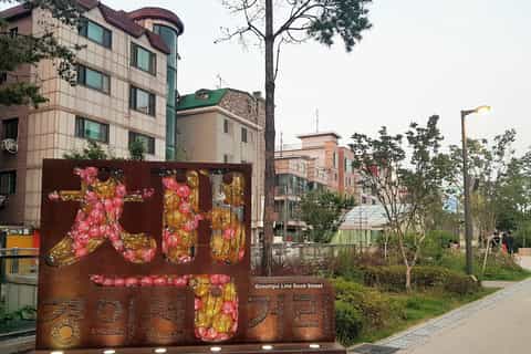 seoul 6hour city tour of hongdae