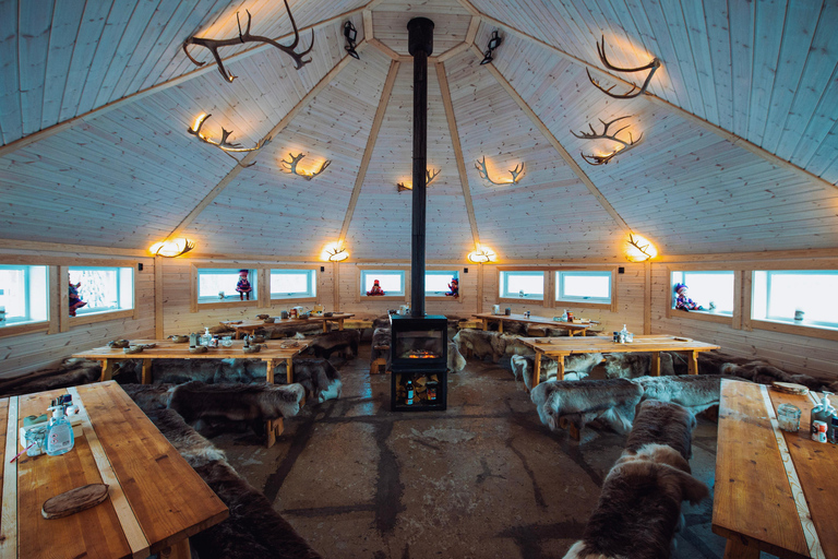 Reindeer Feeding and Sami Culture with Lunch in Autumn Tromsø: Reindeer Feeding and Sami Culture in Autumn
