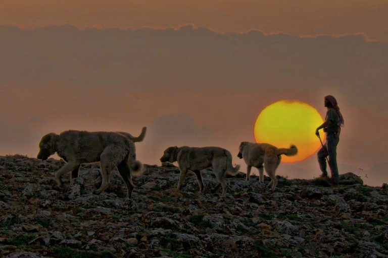 From Istanbul: Private Cappadocia 2-Day Tour