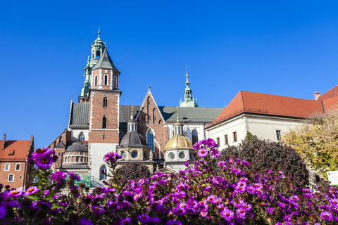 Cracóvia: tour com guia de áudio Wawel HillAudioguia em italiano