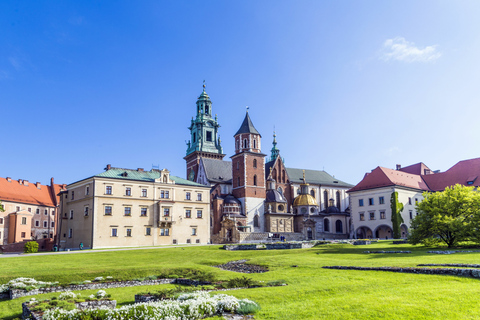 Cracovia: tour por la colina de Wawel con audioguíaAudioguía en italiano