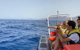 - Canarie.it