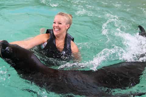Coral World Ocean Park Tickets and Sea Lion Swim