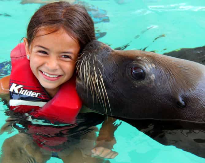 Coral World Ocean Park Tickets and Sea Lion Swim GetYourGuide