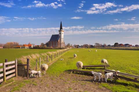 From Amsterdam/North Holland: Texel Island E-bike Tour
