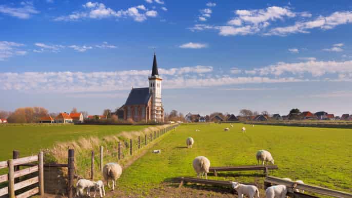 da amsterdam / olanda settentrionale tour in bicicletta elettrica dellisola di texel