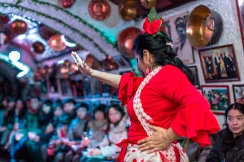 granada espectáculo de flamenco en la cueva de la rocío