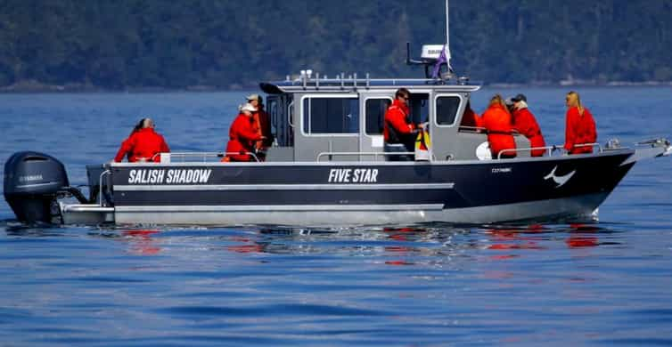 Victoria BC 3 Hour Ultimate Whale & Marine Wildlife Tour GetYourGuide