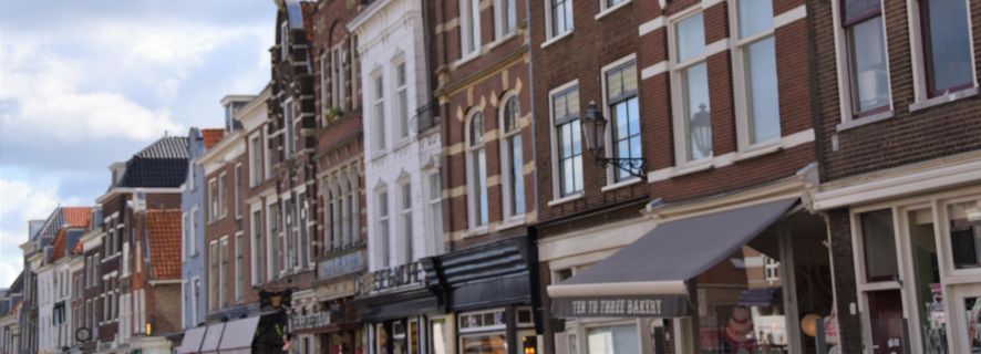 Delft: Yksityinen historiallinen ja kulttuurinen opastettu kävelykierros