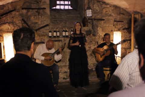 Porto: Live Fado Show with Glass of Port Wine
