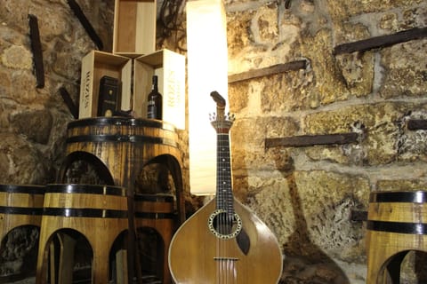 Porto: Live Fado Show with Glass of Port Wine