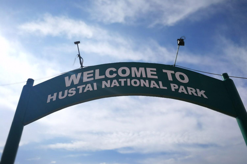 Gandan monastery and Hustai National park-all inclusive tour