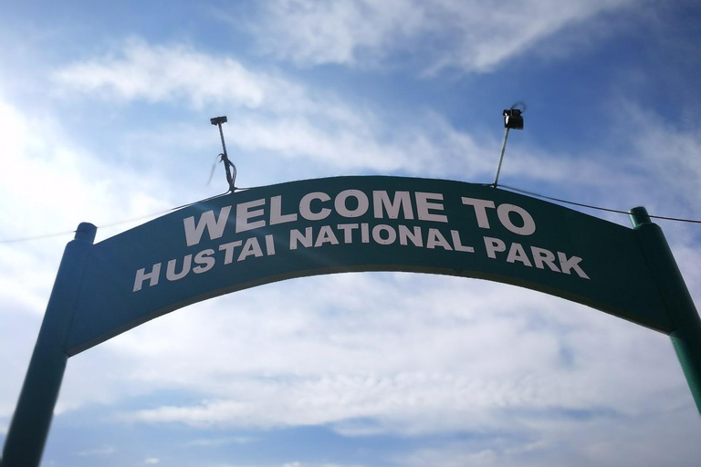 Gandan monastery and Hustai National park-all inclusive tour