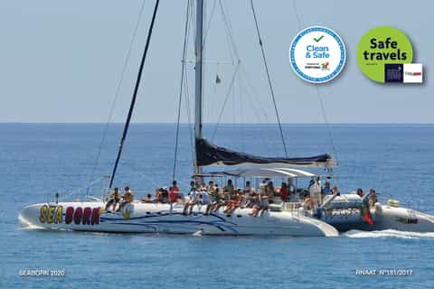 Funchal: Catamaran Dolphin and Whale Watching