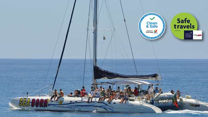 funchal avvistamento di balene e delfini in catamarano