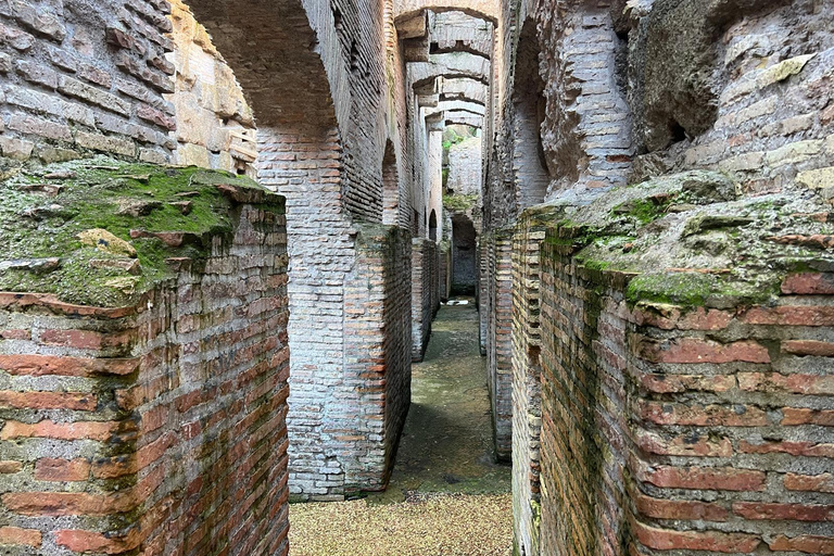 Rome: Colosseum Small Group Underground & Arena Floor Tour