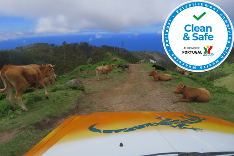 Madeira: Costa Sudoeste, Corrida e Cachoeira do Anjo - Passeio 4x4Passeio compartilhado