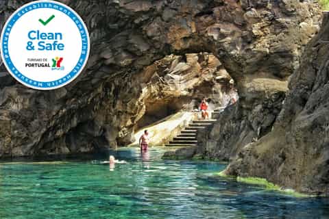 From Funchal: Enchanted Terraces and Porto do Moniz Tour