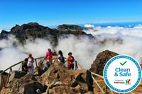Desde Funchal, excursión de día completo a los picos de Madeira en Open 4x4 - Hizvo