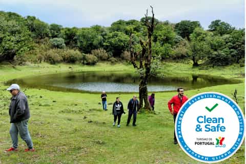 madera del nordovest tour di 1 giorno su 4x4