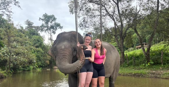 Chiang Mai: Elefanten-Schutzzentrum & Wasserfall-Gruppentour