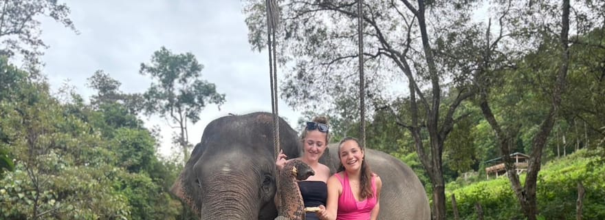 Chiang Mai : Visite du sanctuaire des éléphants et des chutes d'eau en groupe
